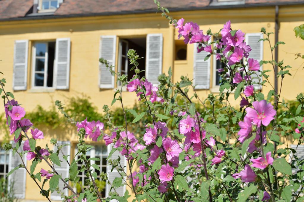 Charmilles Des Cordeliers Bed and Breakfast Paris Eksteriør billede