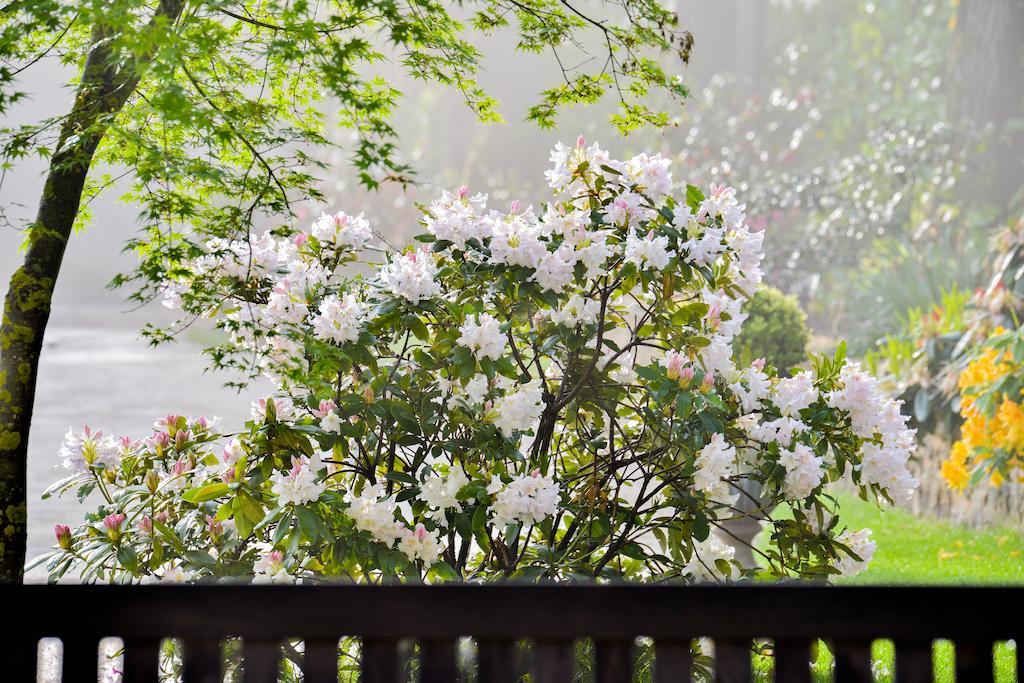 Charmilles Des Cordeliers Bed and Breakfast Paris Eksteriør billede